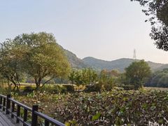 -八卦田遗址公园