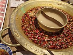 -哥老官重庆美蛙鱼头(龙湖杭州金沙天街店)