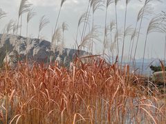 -八奇洞景区