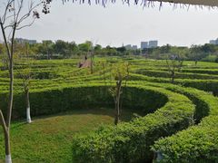 -眉山湿地公园(东坡区)