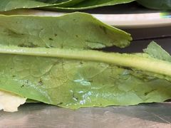 -蒙古人烤羊腿(裕兴路店)