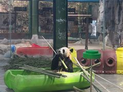-栾川竹海野生动物园