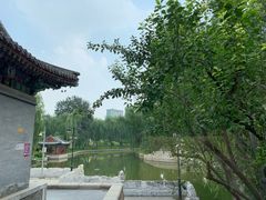 -万柳阁小馆·花园餐厅(龙潭湖店)
