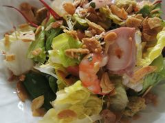 前菜色拉-蝶舍·MAISON PAPILLON