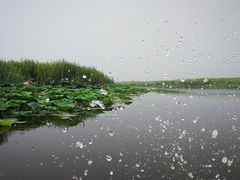-白洋淀景区