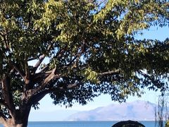 -洱海月湿地公园
