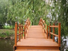 -白渔泡湿地公园