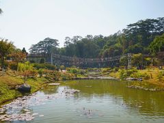 -东莞植物园