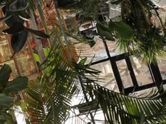 -北马山庄植趣咖啡