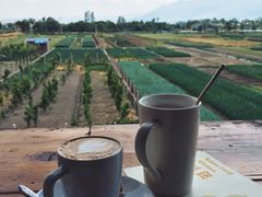 -翠田Green Field Kitchen