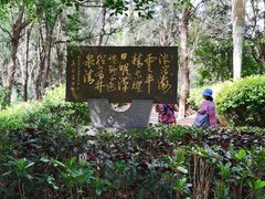 -宋井风景区