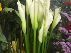 -亭亭鲜花店(中山北路店)