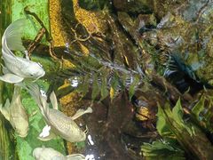 -太平洋海底世界