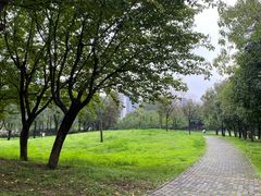-洨河生态公园