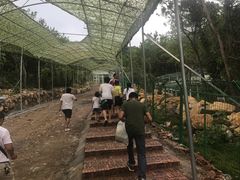 -牛鱼嘴原始生态风景区