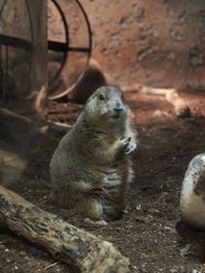 -Zoolung Zoolung动物主题公园(海信广场店)