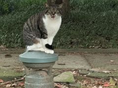 -苏州工学院(东湖校区)