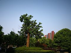 -重庆彩云湖湿地公园