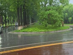 -黄海国家森林公园