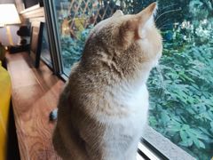 -咖法森林·咖啡  酒吧(天河店)