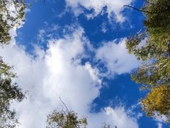 -洱海月湿地公园