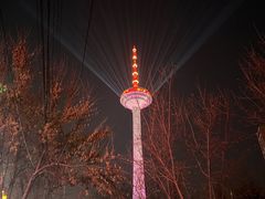 -辽宁电视塔