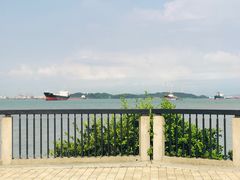 -南沙蒲洲花园