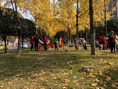 -百林公园-两江幸福广场