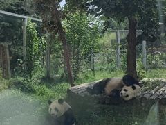 -西安秦岭野生动物园
