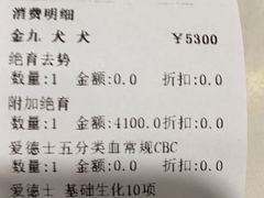 -伟伟宠物医院·CT影像中心·瑞派犬猫综合性门诊(汉口总院)