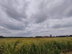 -中国天府农业博览园