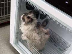 -安安宠医·安宠宠物医院