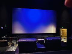 -春天国际影城(中庚漫游城杜比全景声店)