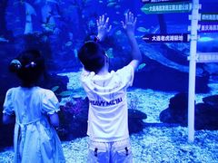 -上海海昌海洋公园-冰山北极馆
