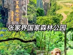 -业华湘·特色菜