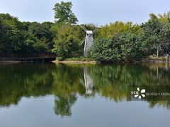 -大屏嶂森林公园