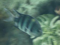 -苏州海洋馆