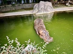 -杭州野生动物世界