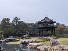 -东湖落雁景区