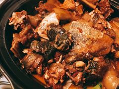 甲鱼-粗茶淡饭·汉口公馆(循礼门店)