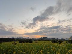 -光明小镇欢乐田园