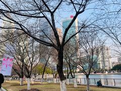 -西北湖绿化广场