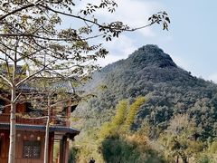 -靖西鹅泉风景区