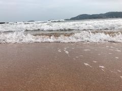 -枸杞岛