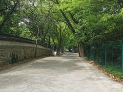 -上海佘山国家森林公园天马山园