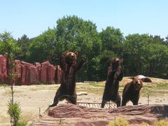 -长白岛森林公园