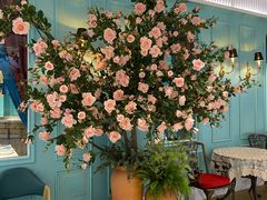 -玉玲珑(陆家嘴店)