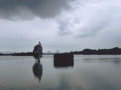 -东湖落雁景区