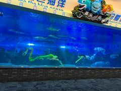 -成都浩海立方海洋公园