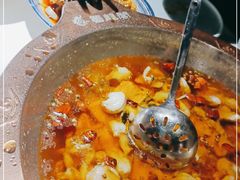 -雲蜀龙阁·金牌水煮鱼(方庄店)